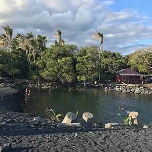 The Dolphin At Kehena